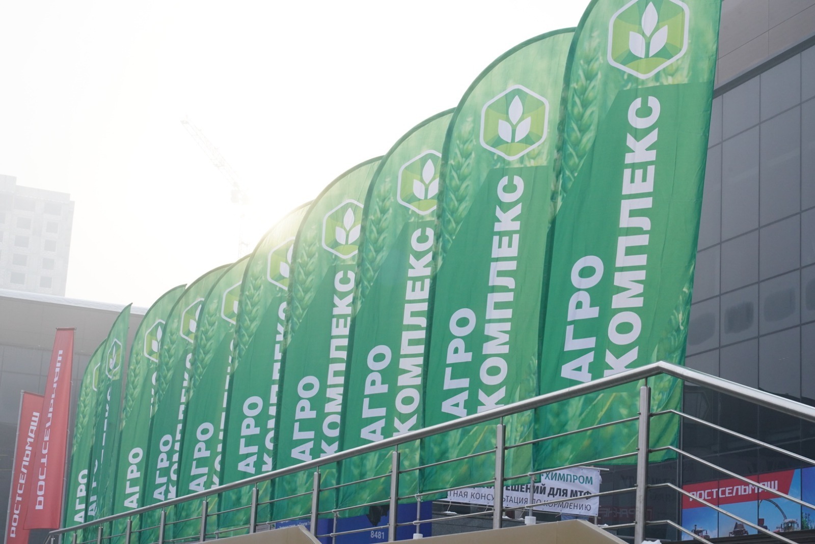 Три новых сельхозпроизводства запустили сегодня в Башкортостане