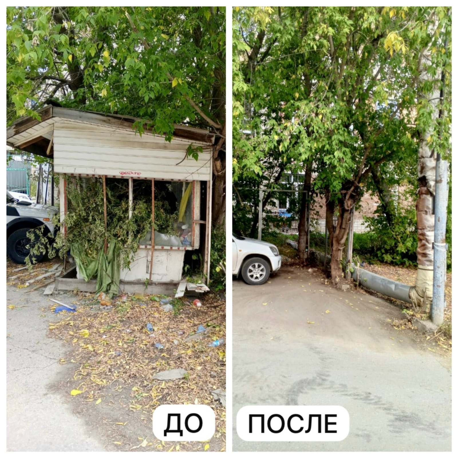 Будут следить за чистотой и порядком