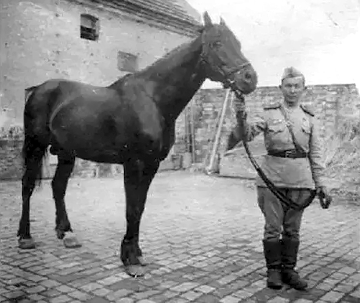 О храбрости и подвигах боевых коней