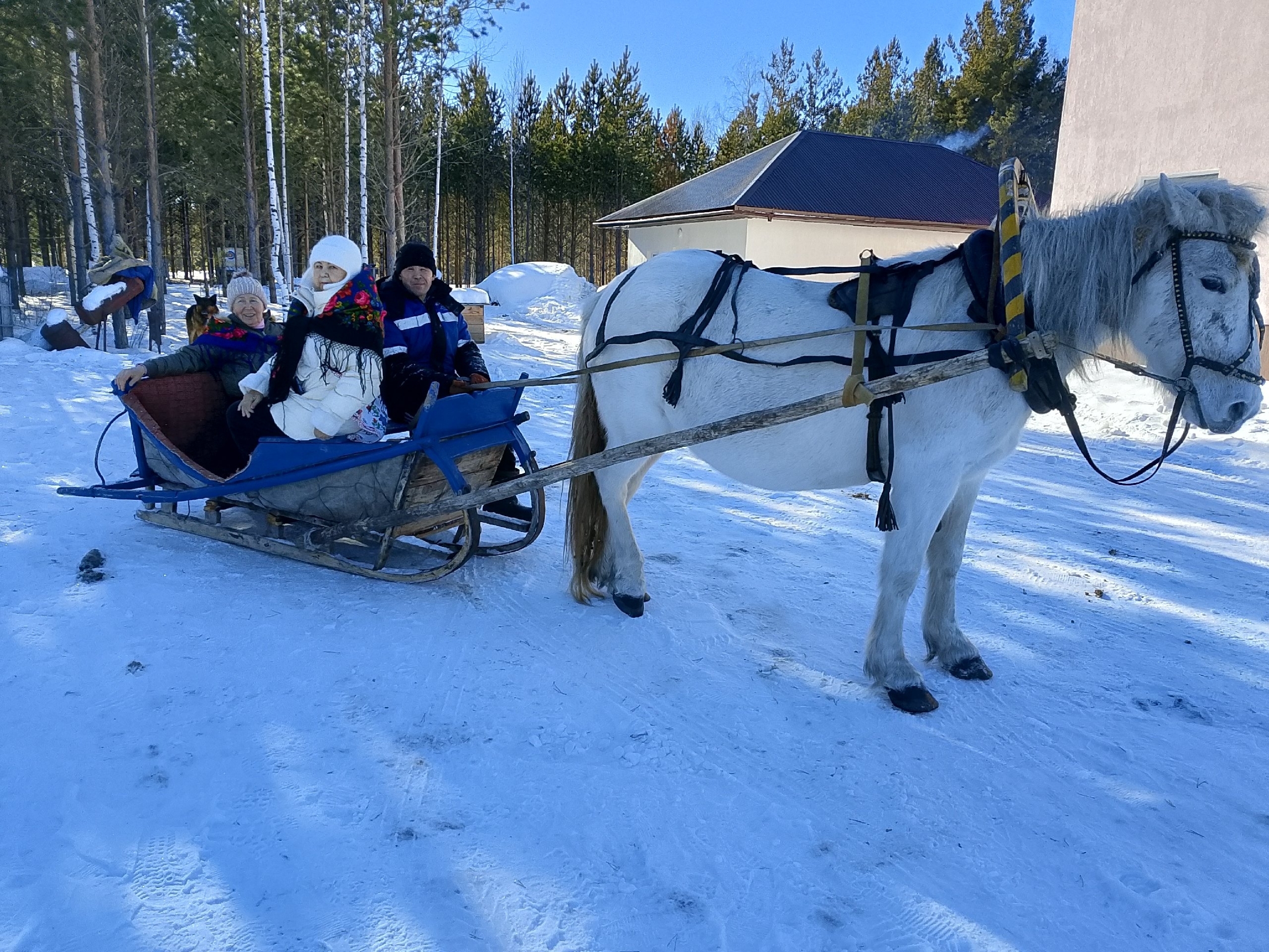 Активные ветераны отметили Масленицу