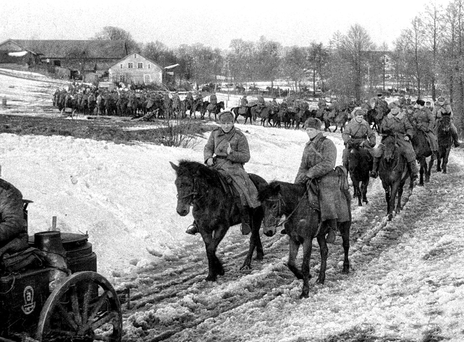 О храбрости и подвигах боевых коней