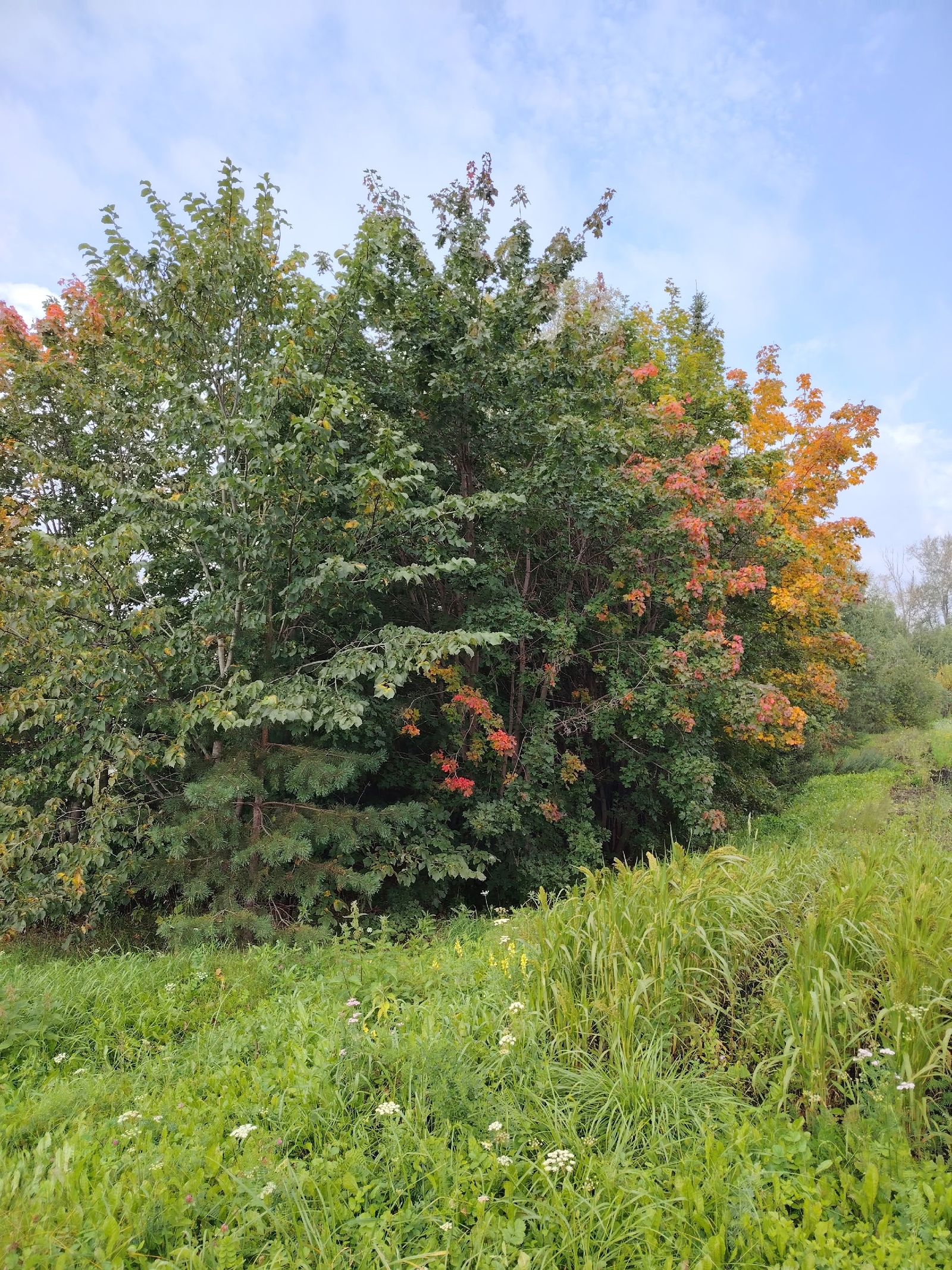 С начала года заповедники Башкортостана посетили 11 тысяч туристов