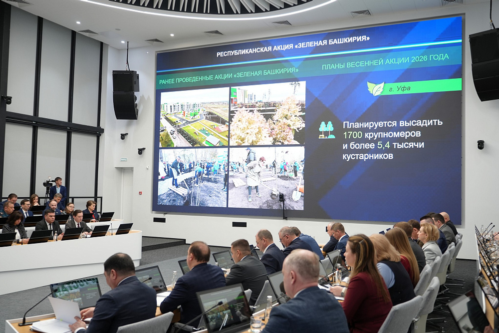 Высадят тысячи  деревьев и кустарников