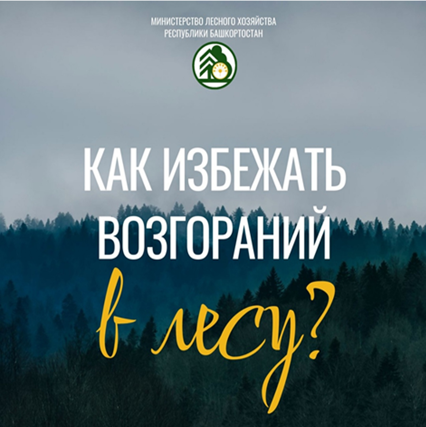 Не просто слушать, а применять в жизни