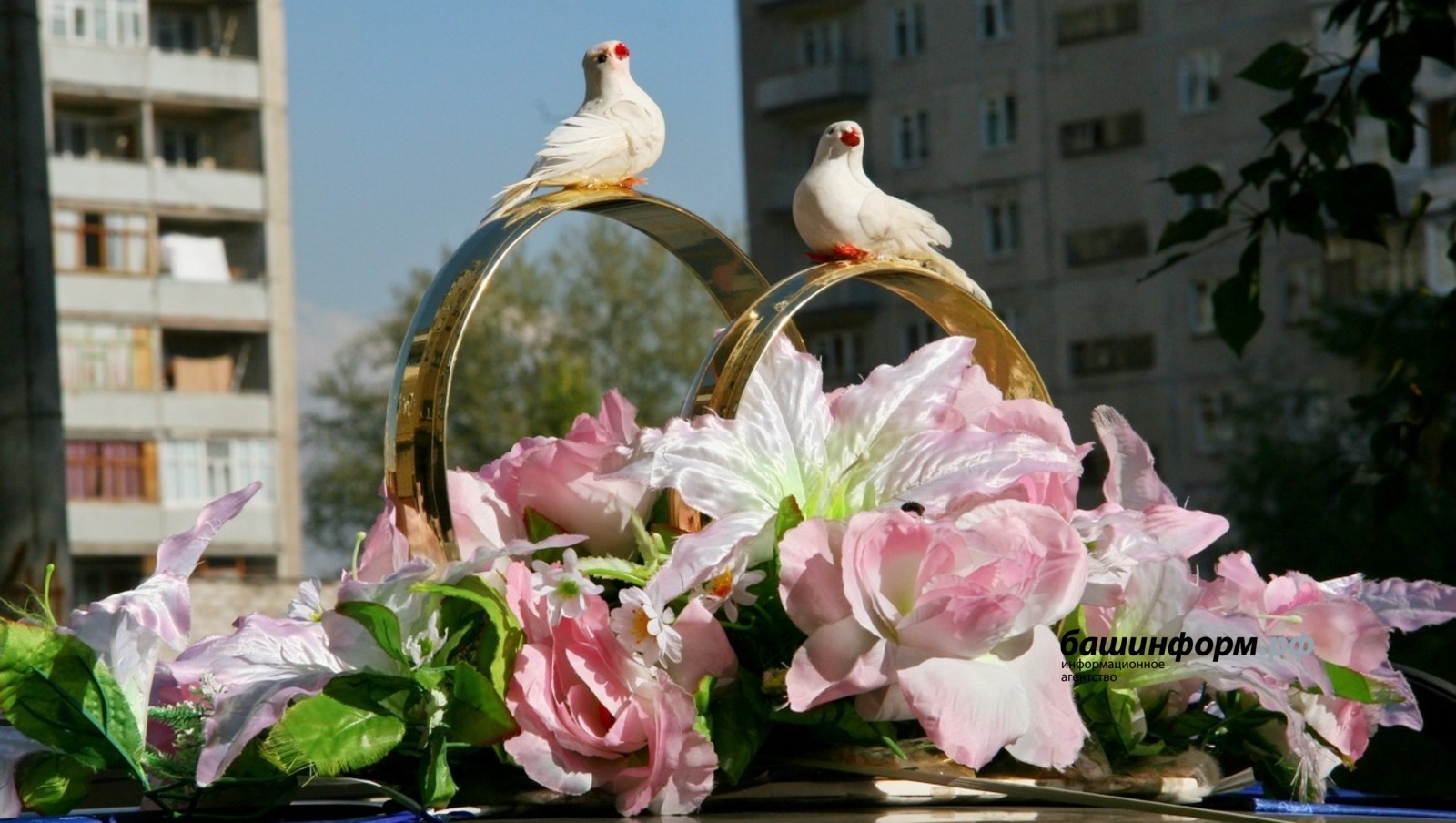 В Башкирии 300 пар вступят в брак в День семьи, любви и верности