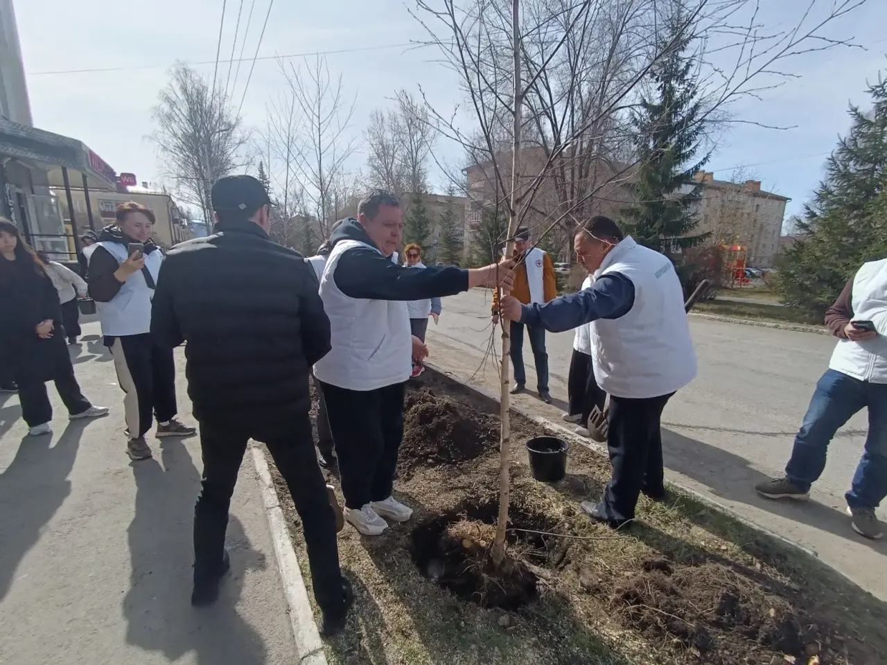 Станет улица берёзовой