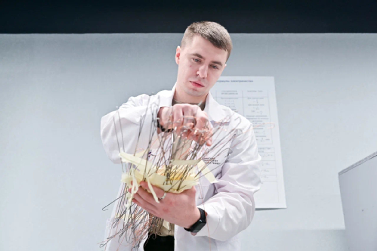 Разработана стратегия подбора биоразлагаемых сплавов для имплантов