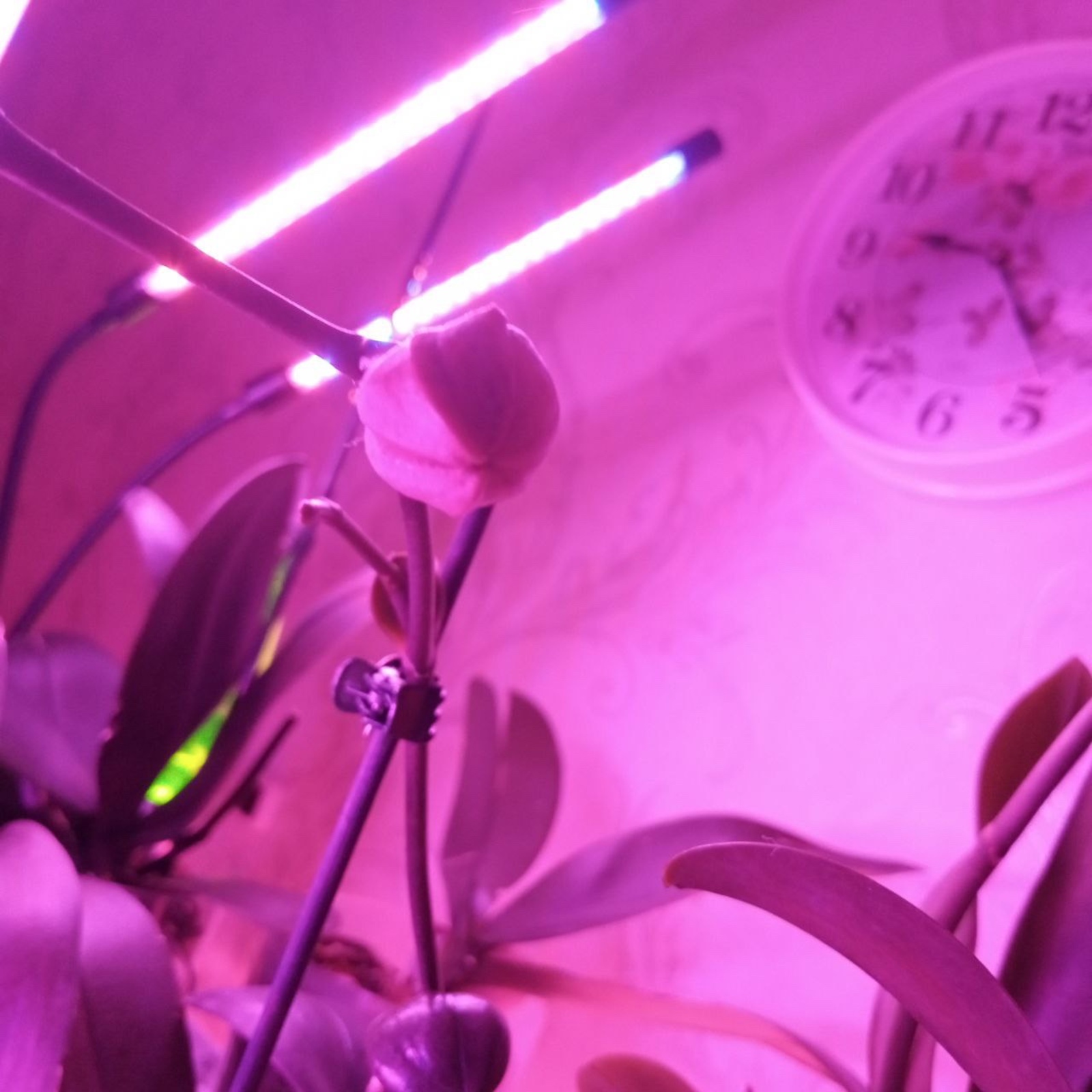 Да будет свет!