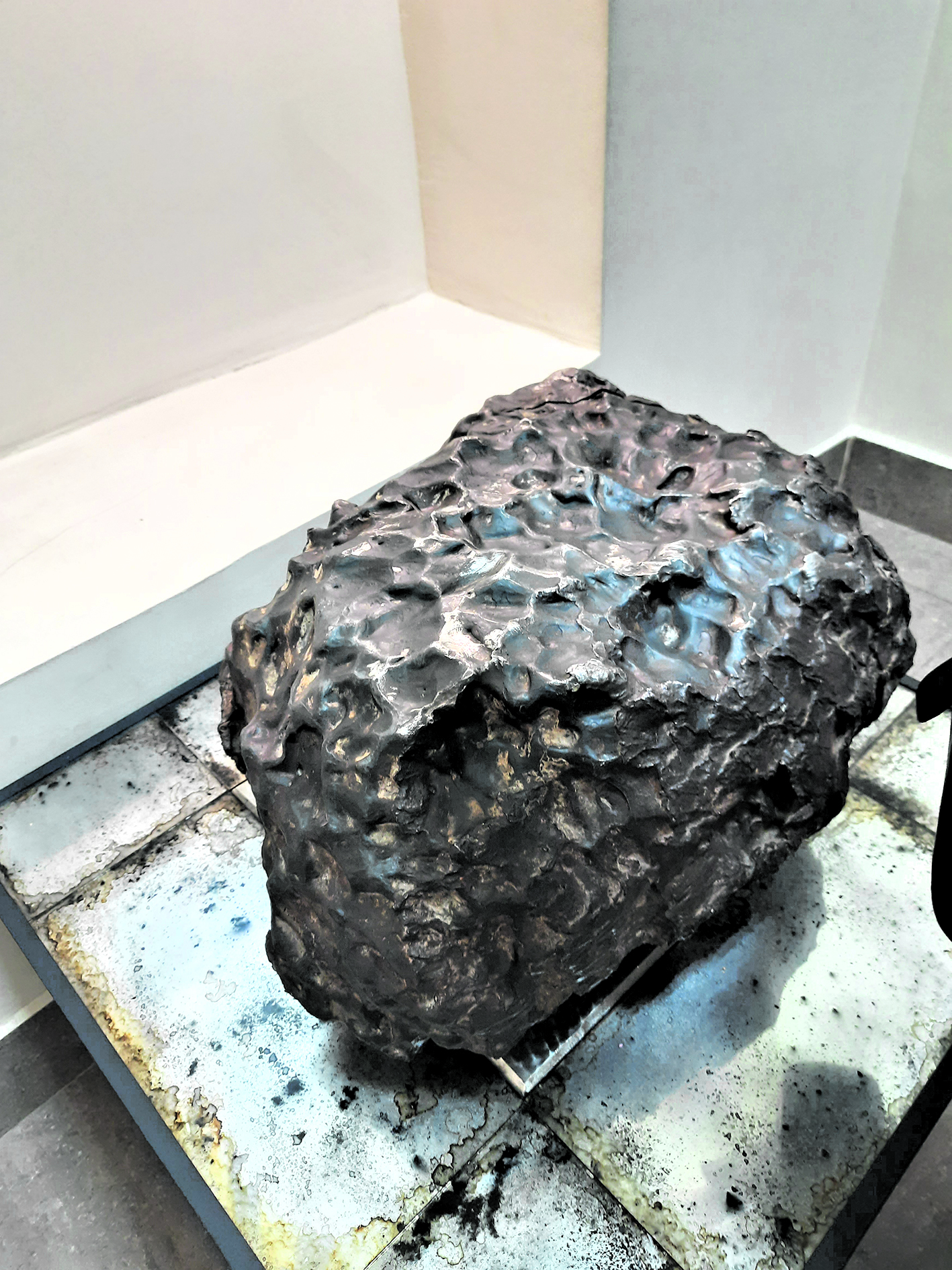 Познавательная экскурсия