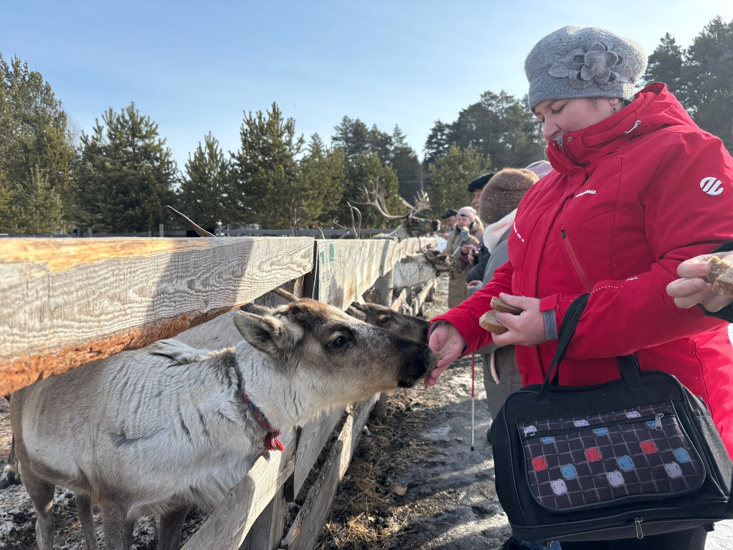 Быть ближе к природе