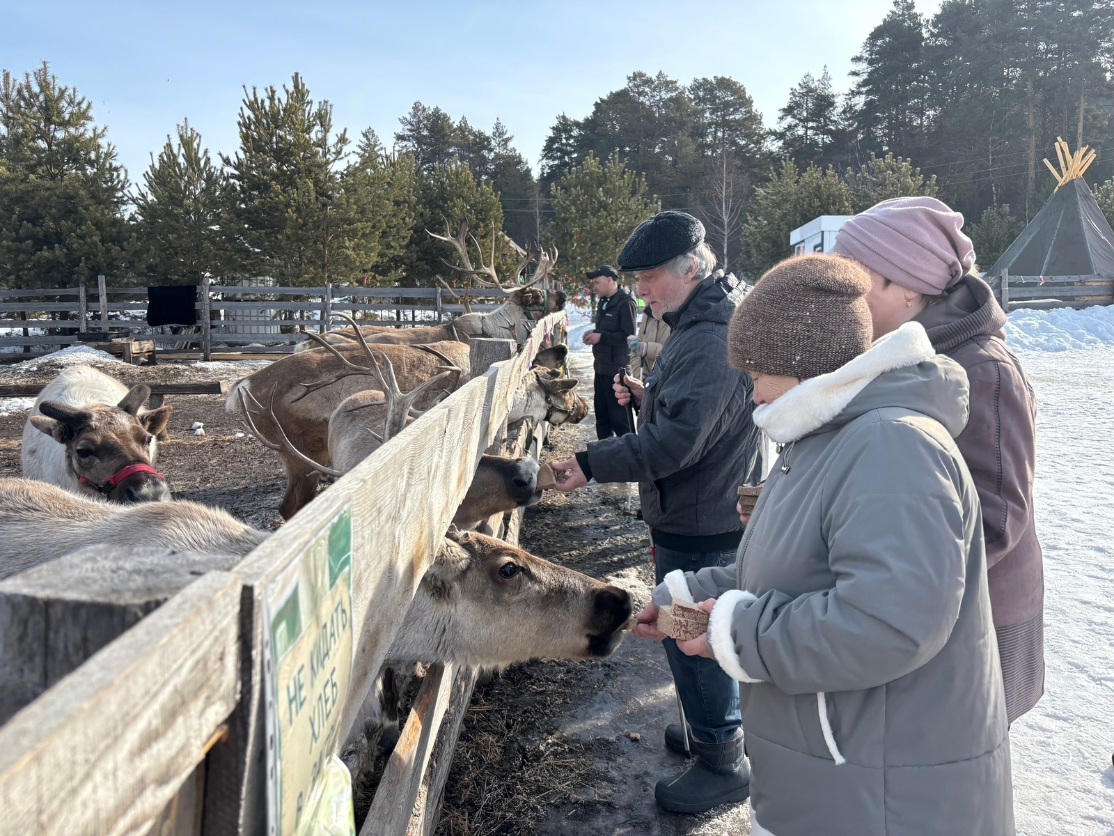Быть ближе к природе