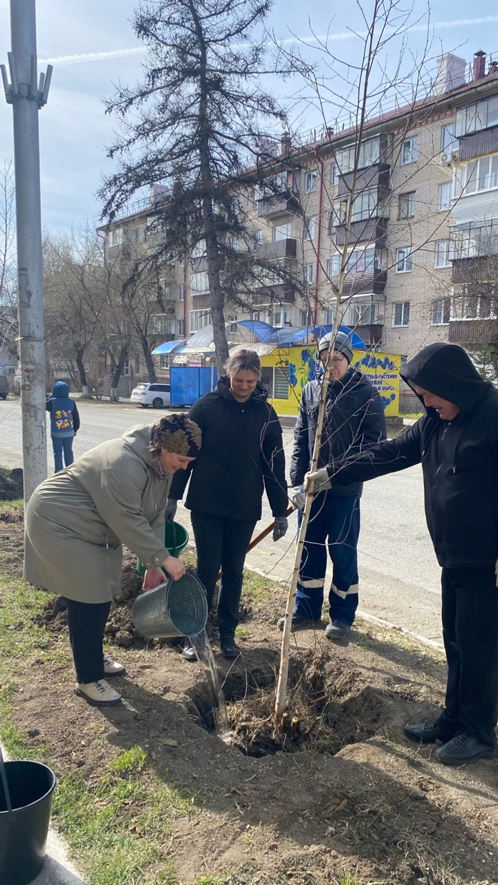 Станет улица берёзовой