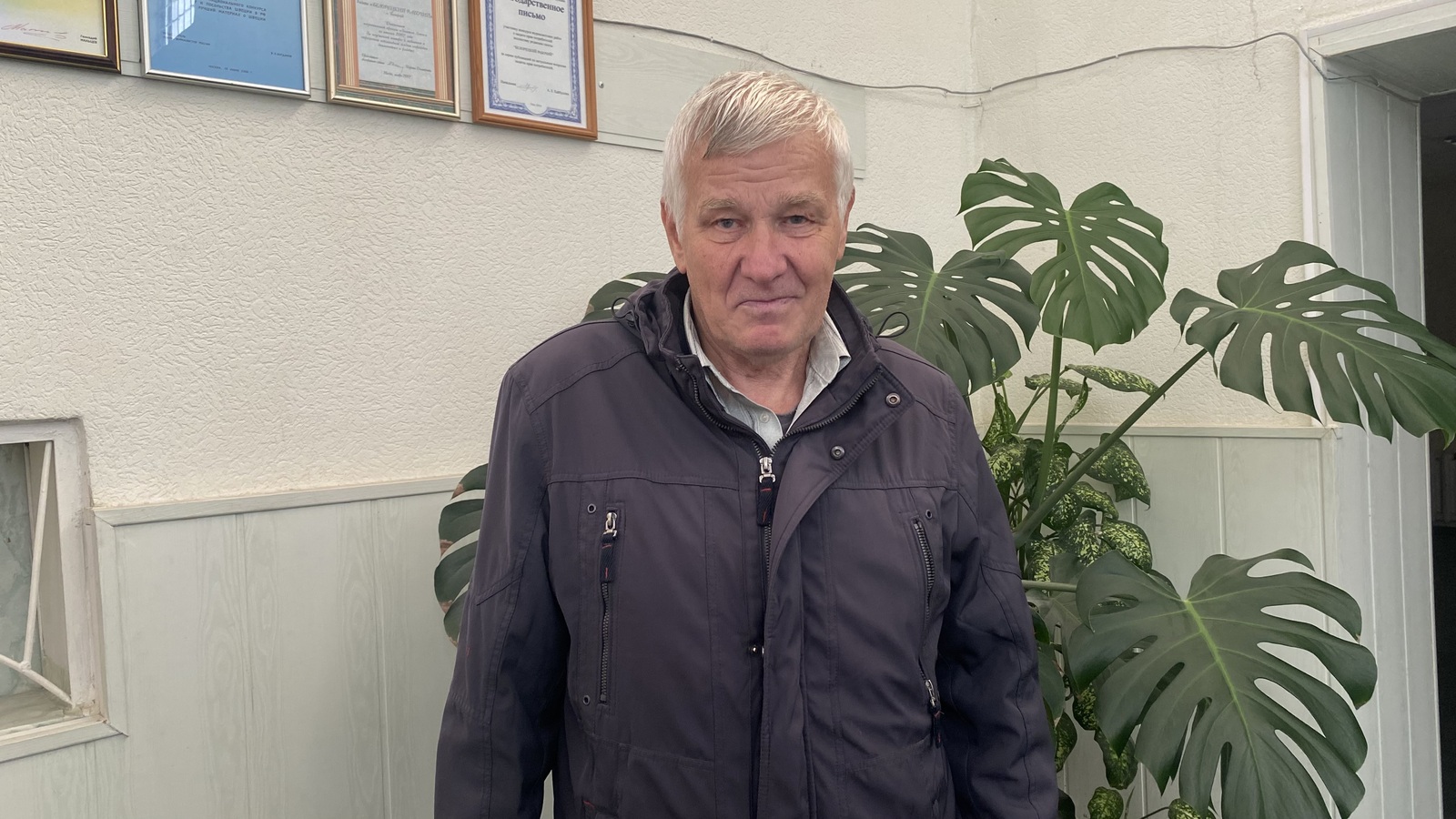 Первый снег чистой поэзии