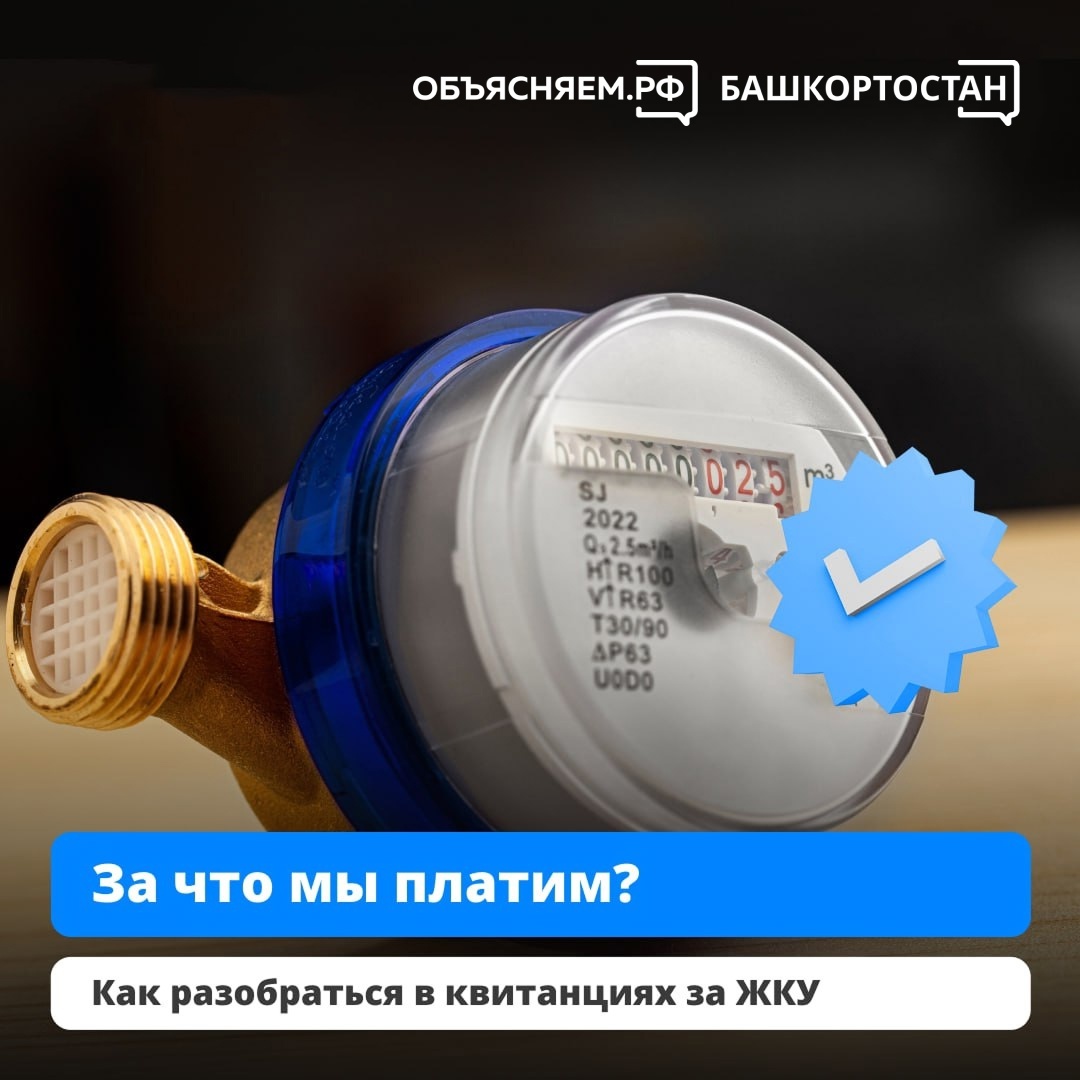 За что мы платим?