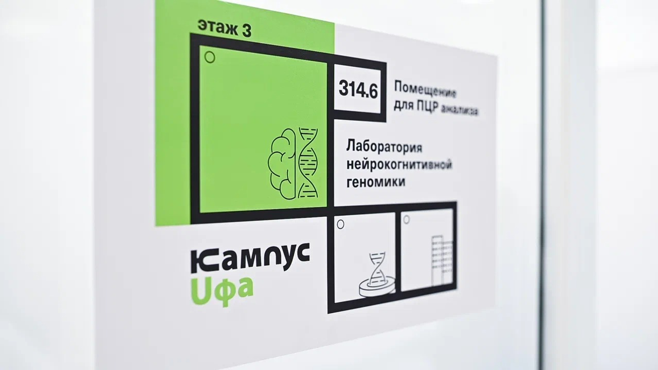 В Межвузовском кампусе Уфы работают над методом борьбы с раком мозга