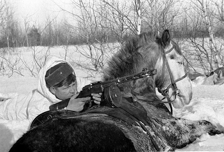 О храбрости и подвигах боевых коней