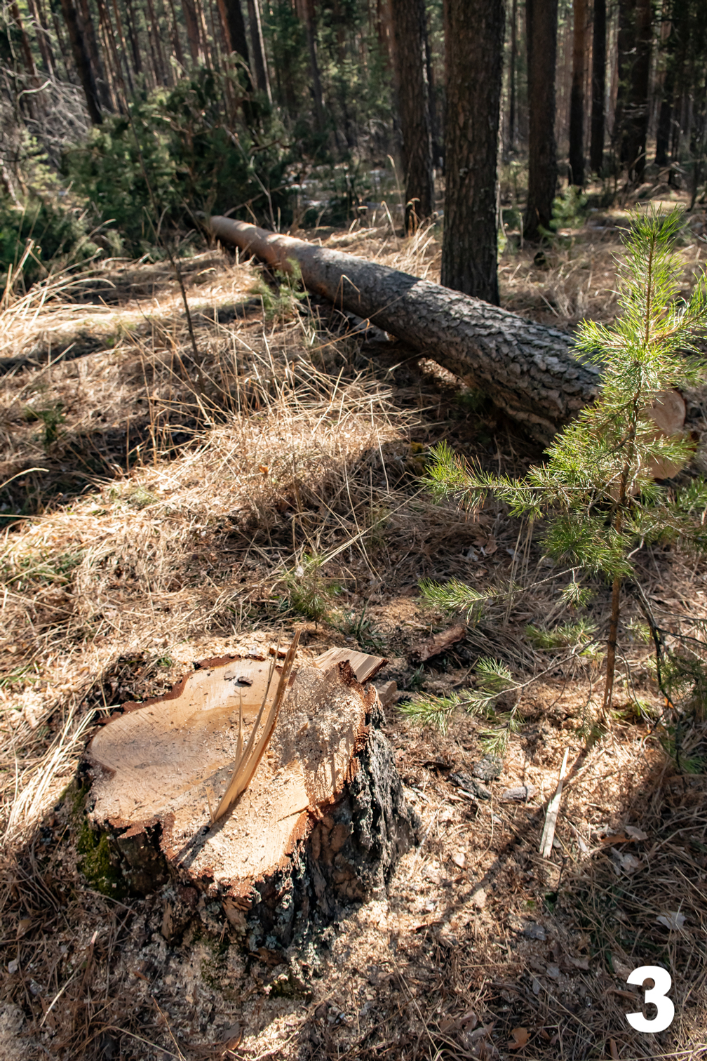 Проблемы? Да...