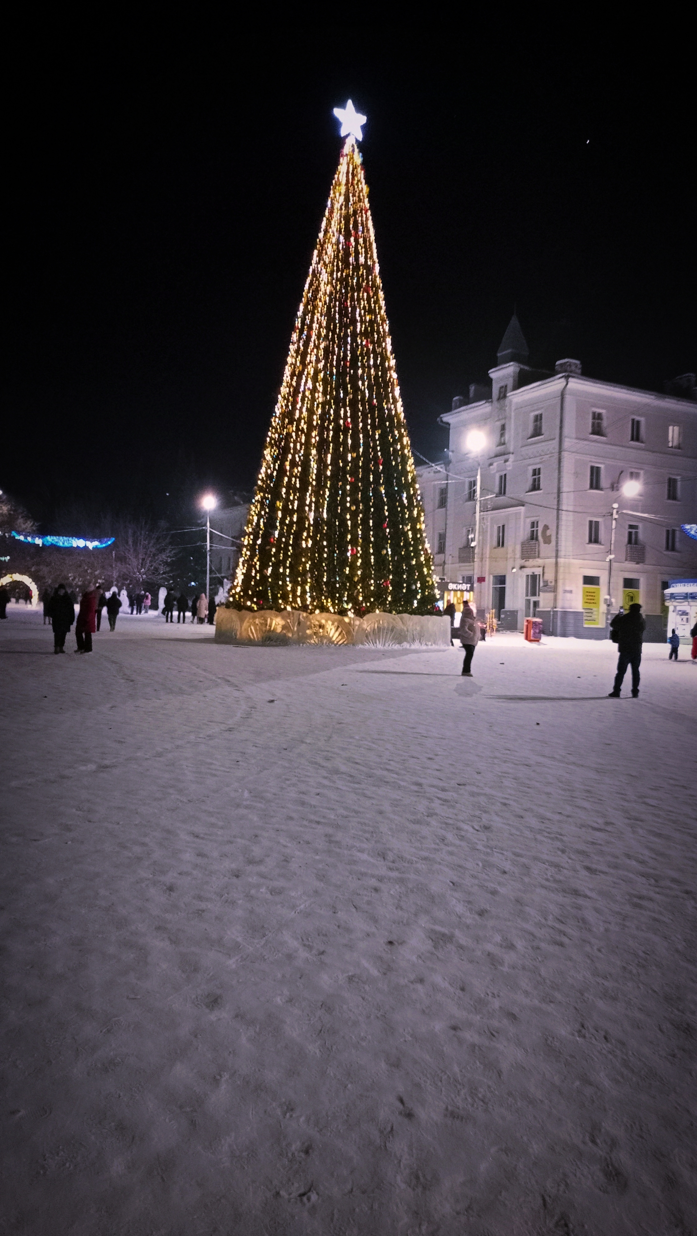 Подарили ёлку городу