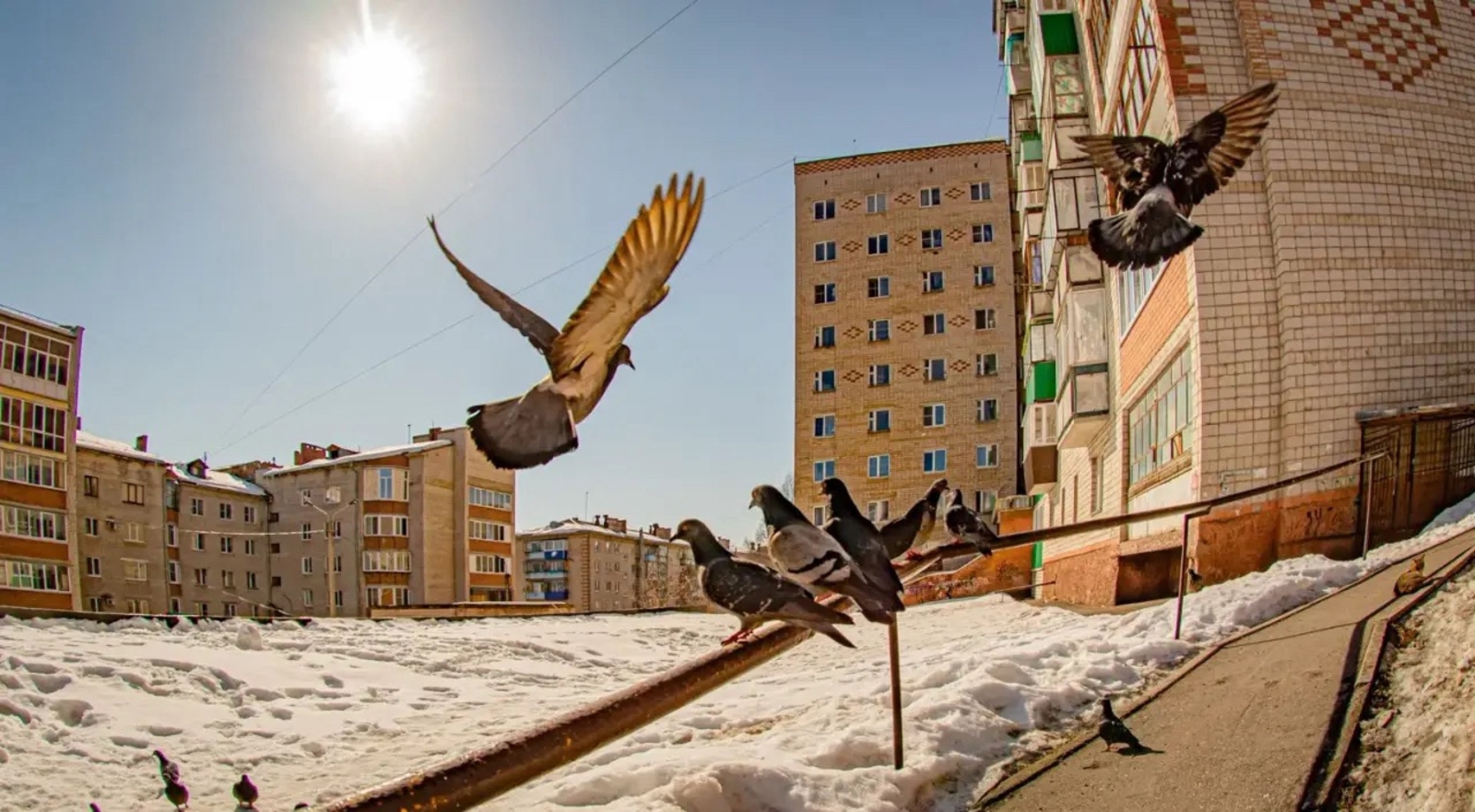 Стихи белорецких поэтов