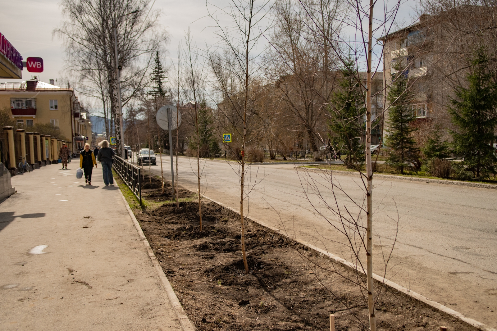 Станет улица берёзовой