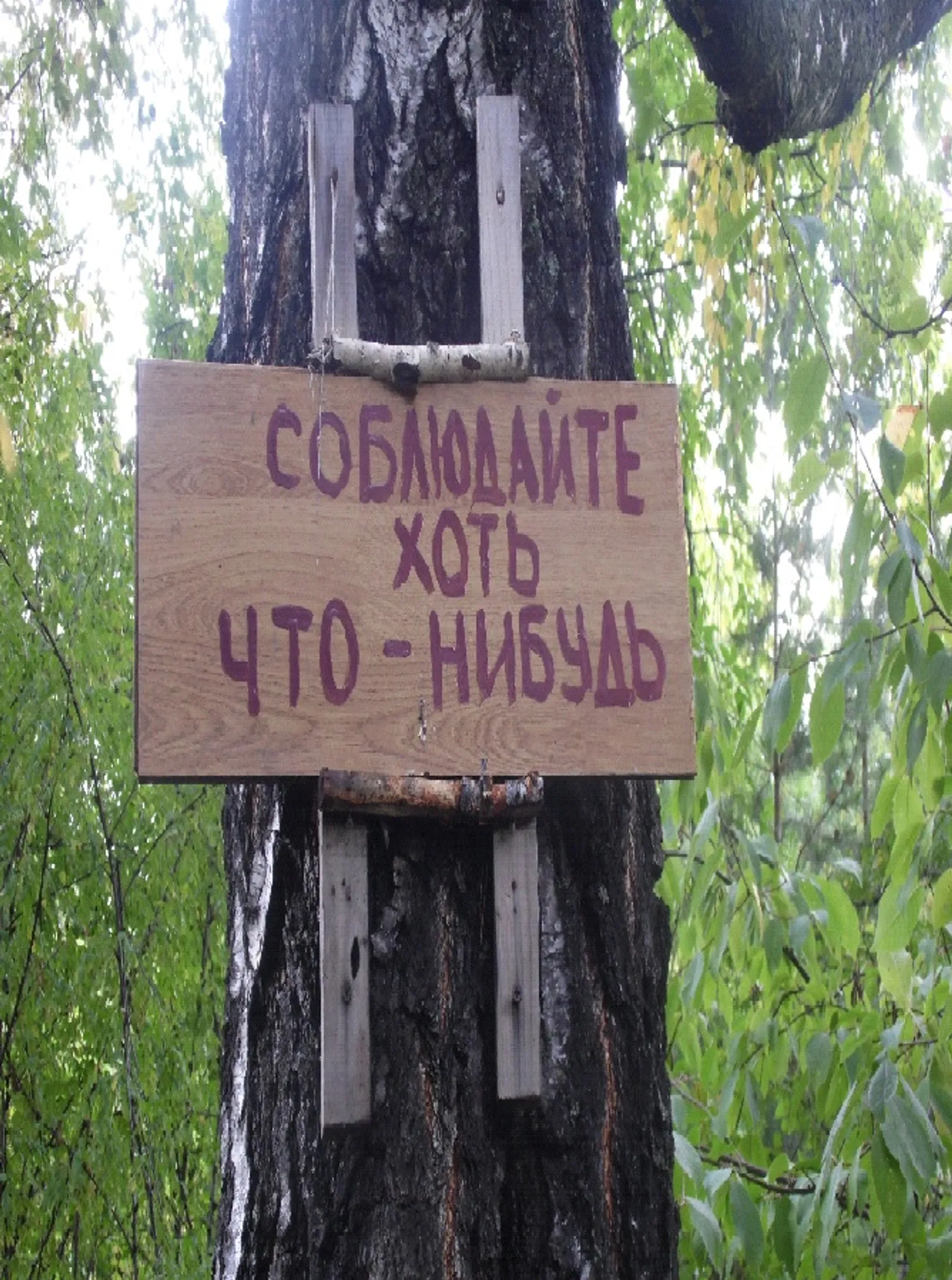Экологическая вежливость
