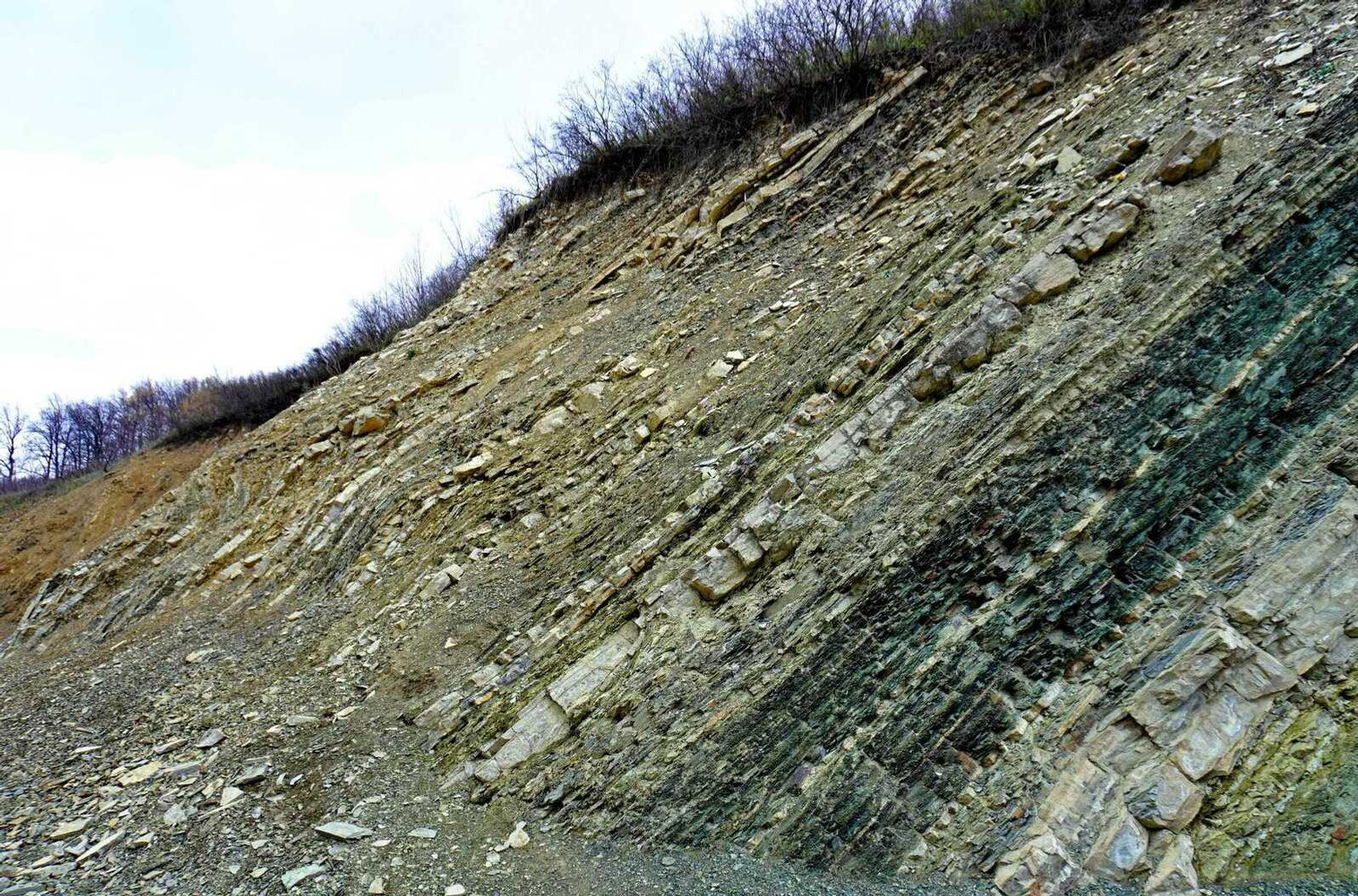 "Золотые гвозди" появятся в геопарке "Торатау"