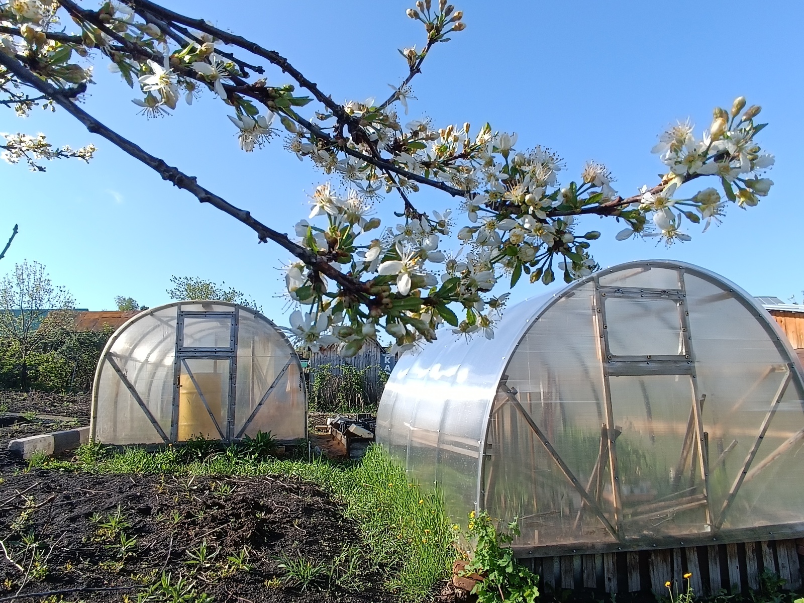 Начинаем садовый сезон