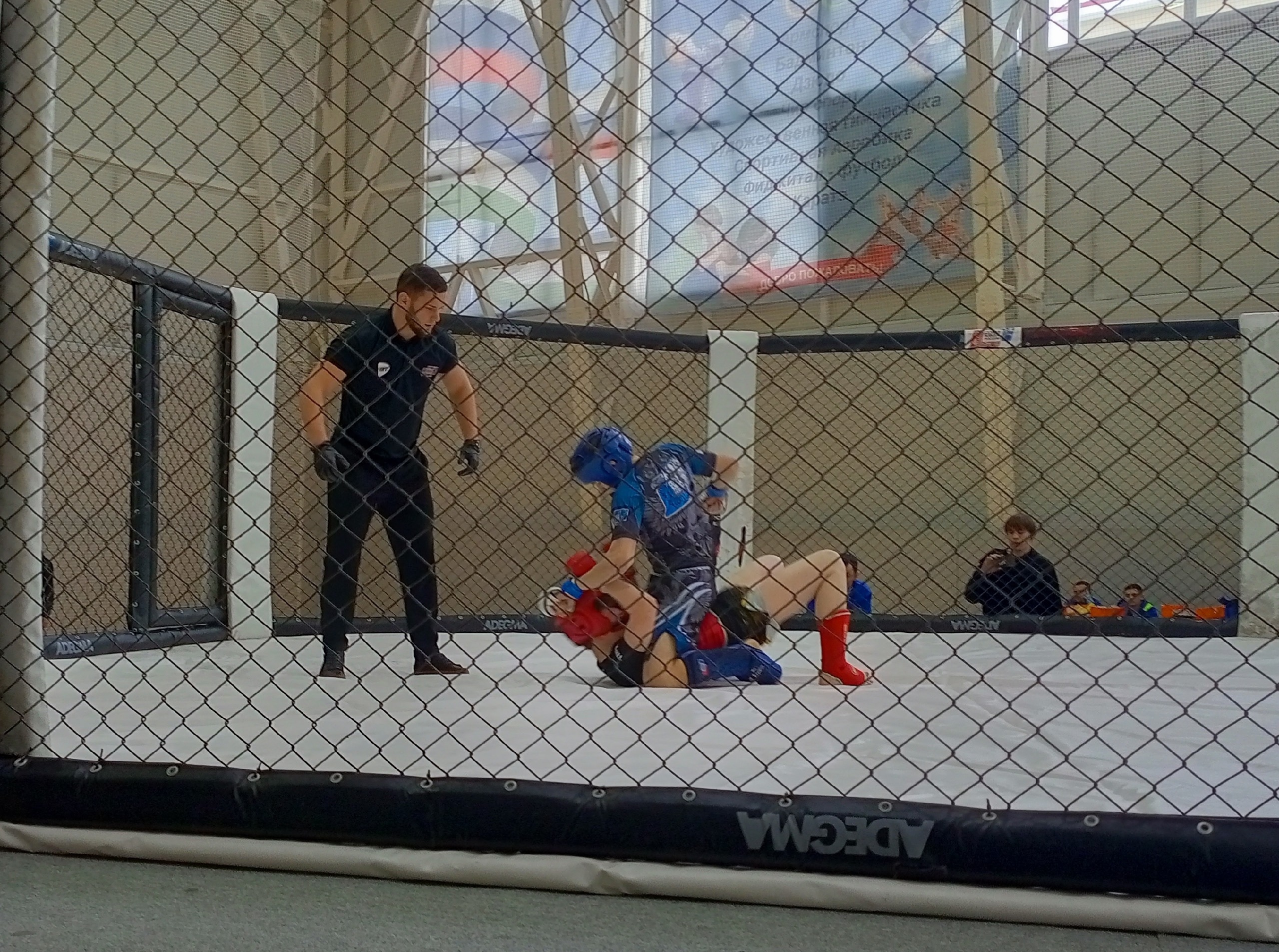 «Тигры» на татами